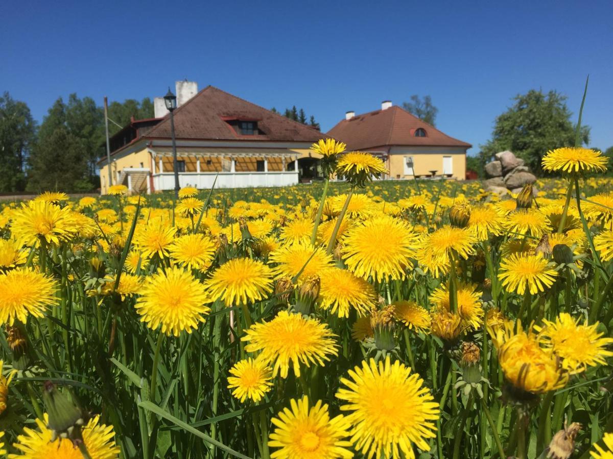 Ruunawere Hotel Nõmmealuse Eksteriør billede